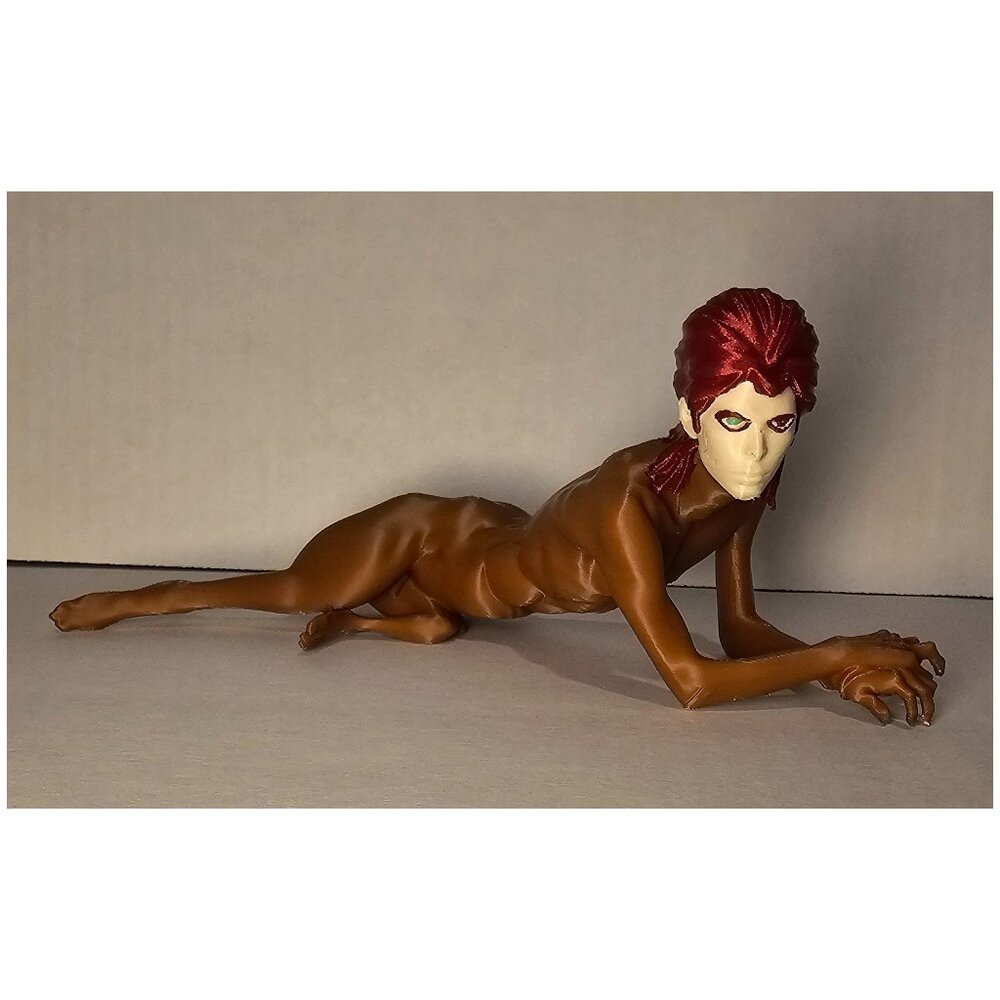 David Bowie Ziggy Stardust 3D Print Decor Art - Man Dog Gift Valentines Day